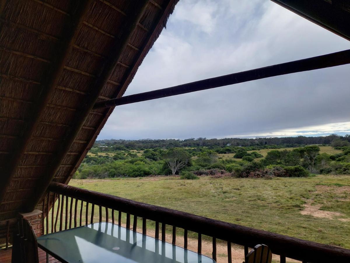 Kragga Kamma Game Park Port Elizabeth Exterior foto
